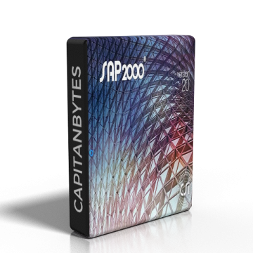 Sap 2000